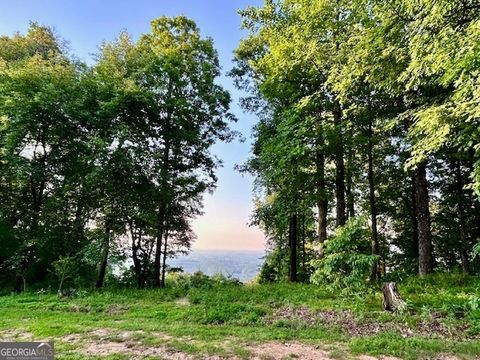 Photo of 0 Mountainside Drive #LOT 17, Cleveland, GA 30528 (MLS # 10731334)