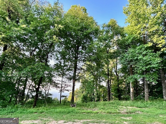 0 Mountainside DR LOT 17