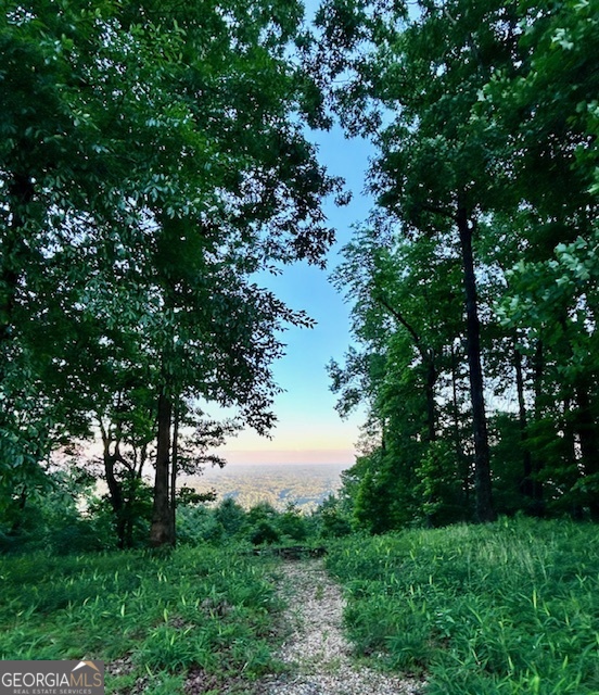 0 Mountainside DR LOT 17