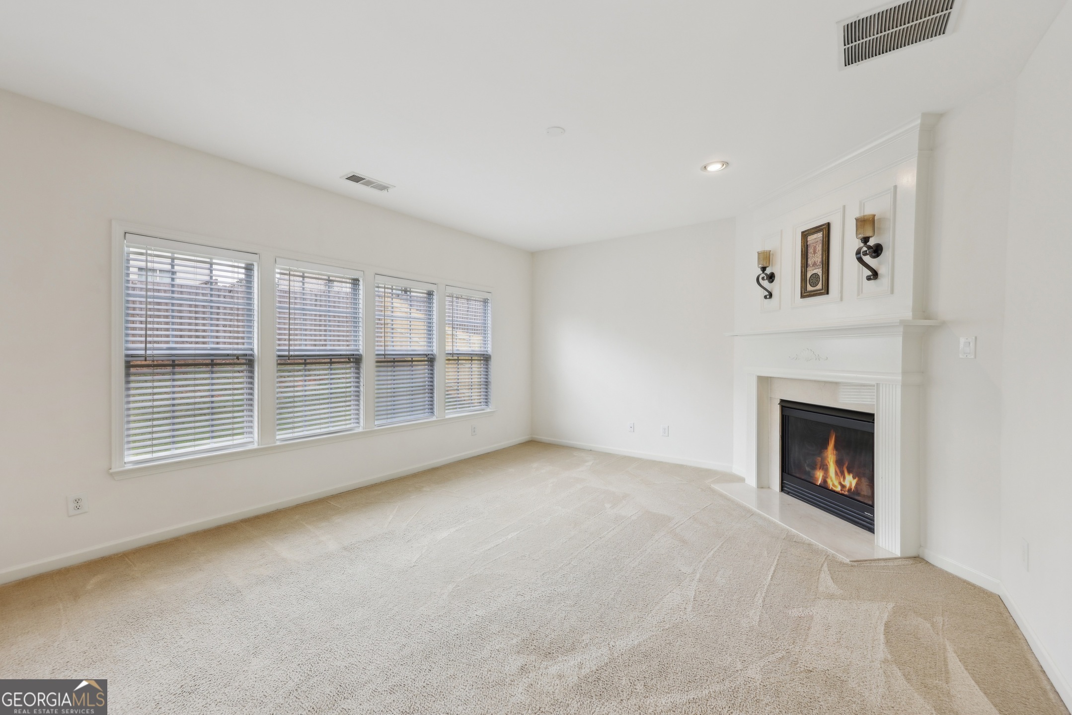 230 Collins View CT