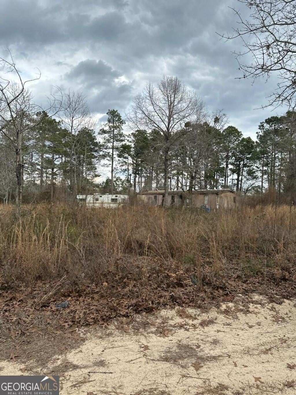 Photo of 79 Governors Drive, Box Springs, GA 31801 (MLS # 10685199)