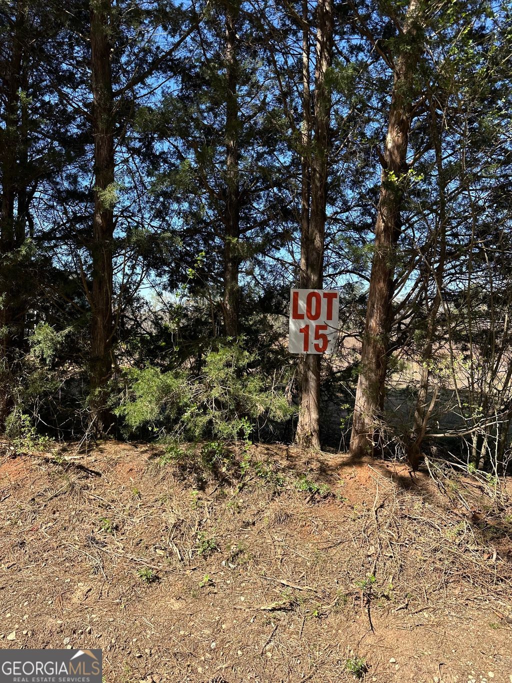 Photo of 131 Oak Road #LOT 15, Locust Grove, GA 30248 (MLS # 10711148)