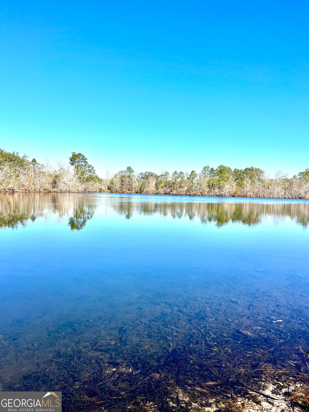 Photo of 00 Lynntown Road, COLLINS, GA 30421 (MLS # 10686879)