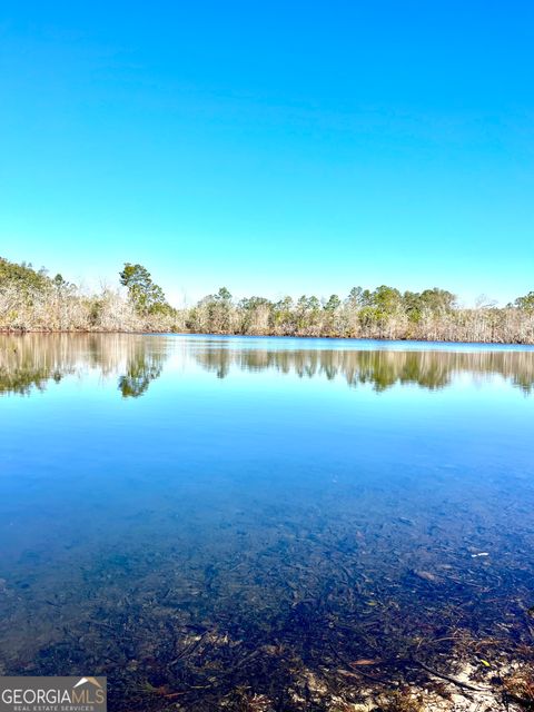 Photo of 00 Lynntown Road, COLLINS, GA 30421 (MLS # 10686879)