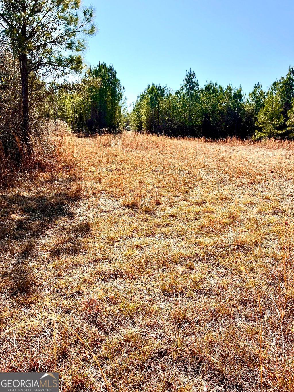 Photo of 00 Lynntown Road, COLLINS, GA 30421 (MLS # 10686879)