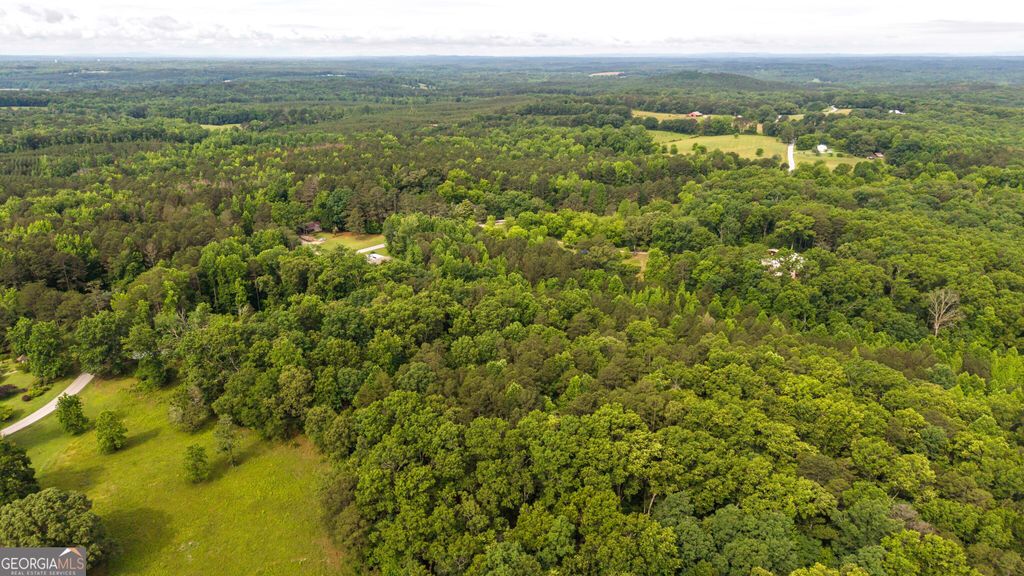 Photo of 3456 Poplar Springs Road, Buchanan, GA 30113 (MLS # 10774843)