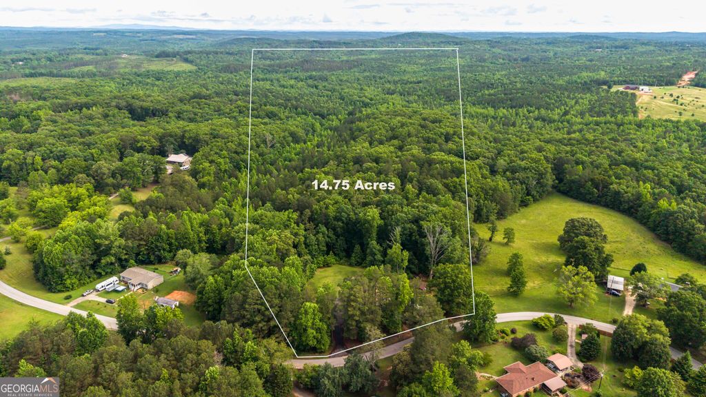Photo of 3456 Poplar Springs Road, Buchanan, GA 30113 (MLS # 10774843)