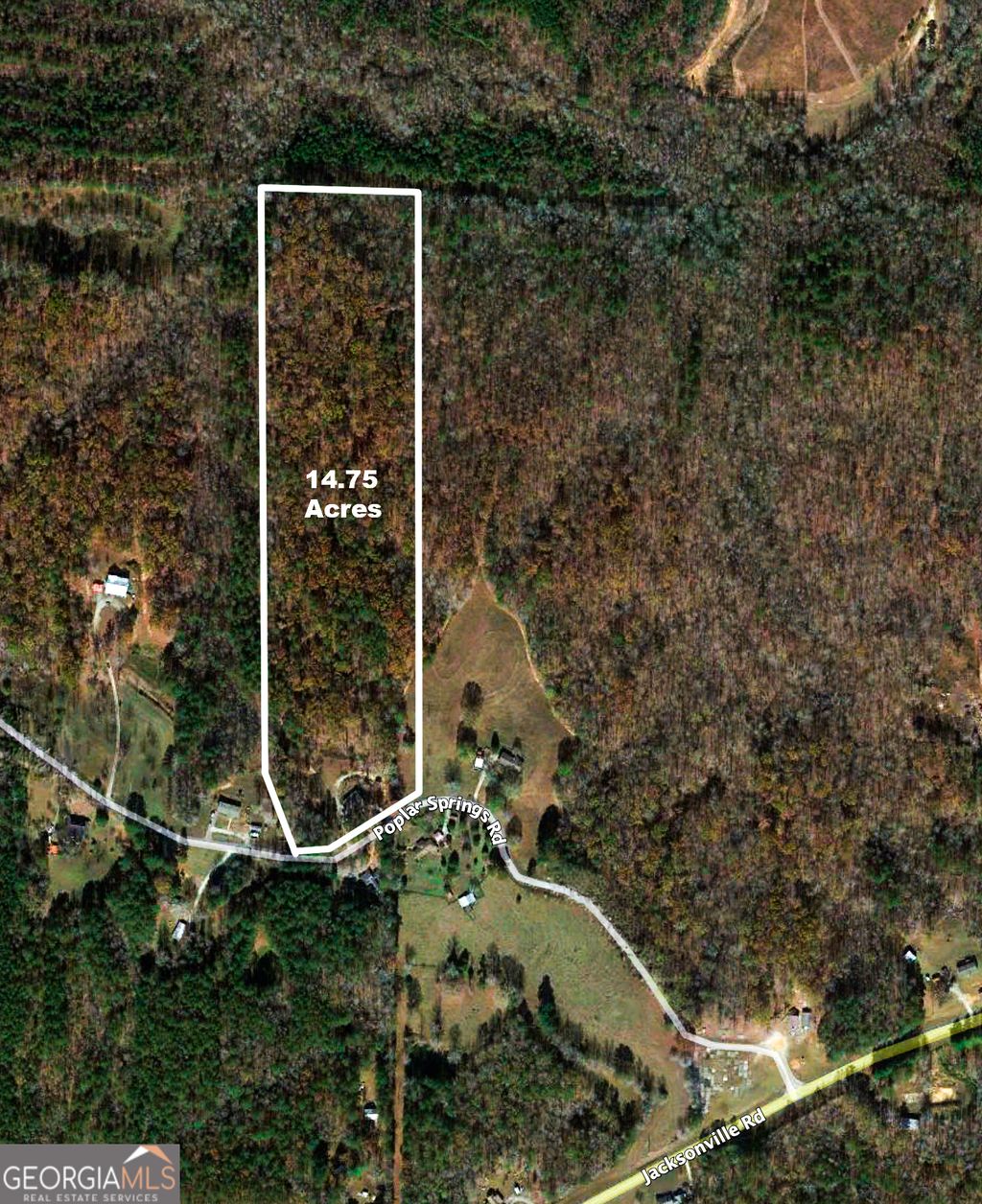 Photo of 3456 Poplar Springs Road, Buchanan, GA 30113 (MLS # 10774843)