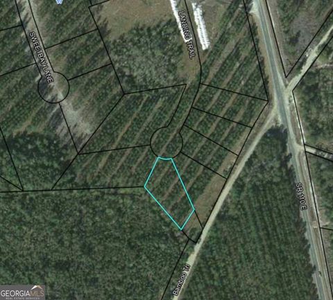 LOT 33 Landing TRL Waynesville GA 31566