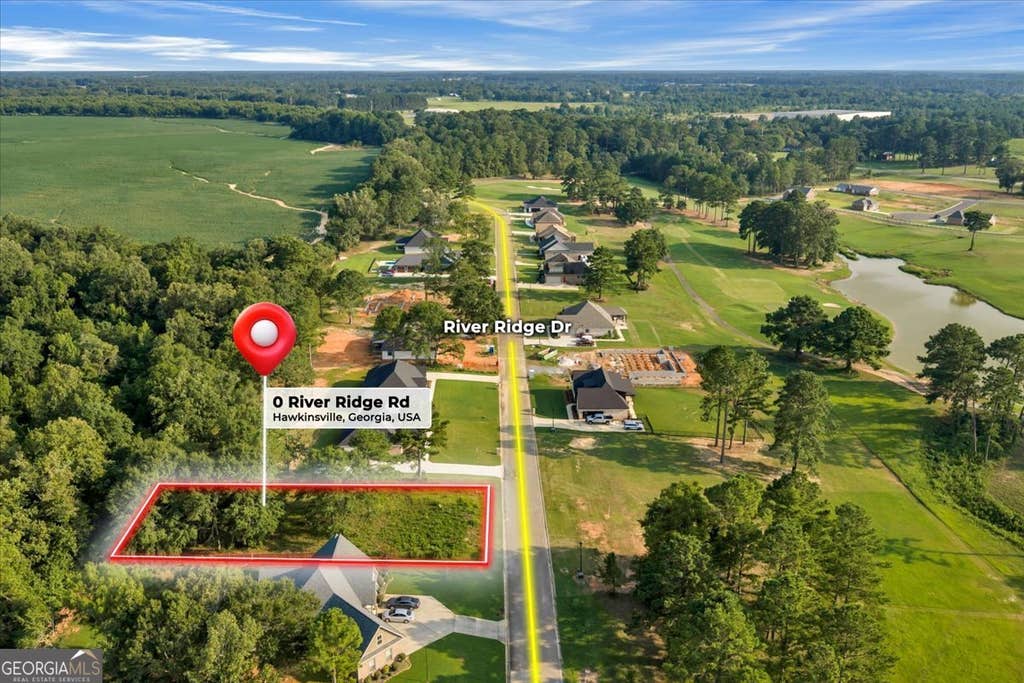 Photo of 0 River Ridge Drive, Hawkinsville, GA 31036 (MLS # 10816088)