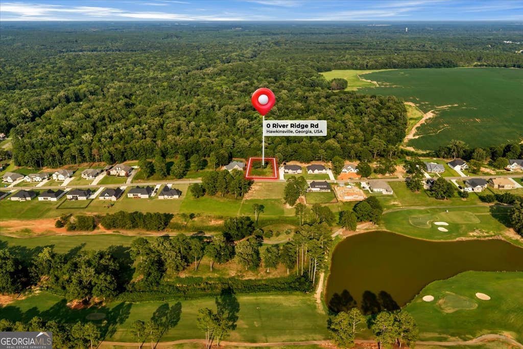 Photo of 0 River Ridge Drive, Hawkinsville, GA 31036 (MLS # 10816088)