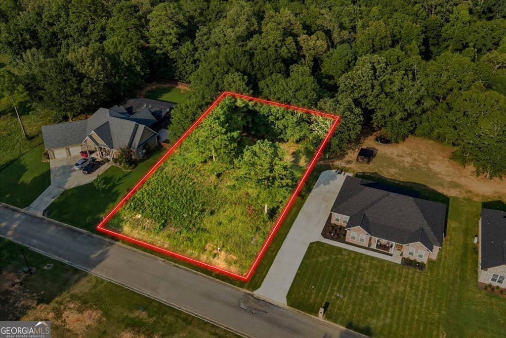 Photo of 0 River Ridge Drive, Hawkinsville, GA 31036 (MLS # 10816088)