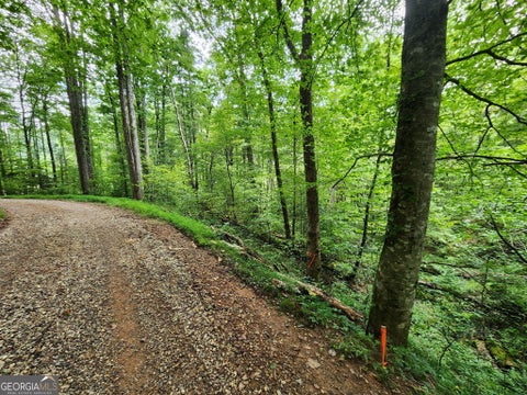 Photo of 2 Poplar Cove Trail, Suches, GA 30572 (MLS # 10806404)