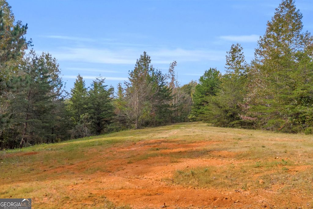 Photo of 6 Turner Road, Cleveland, GA 30528 (MLS # 10809744)