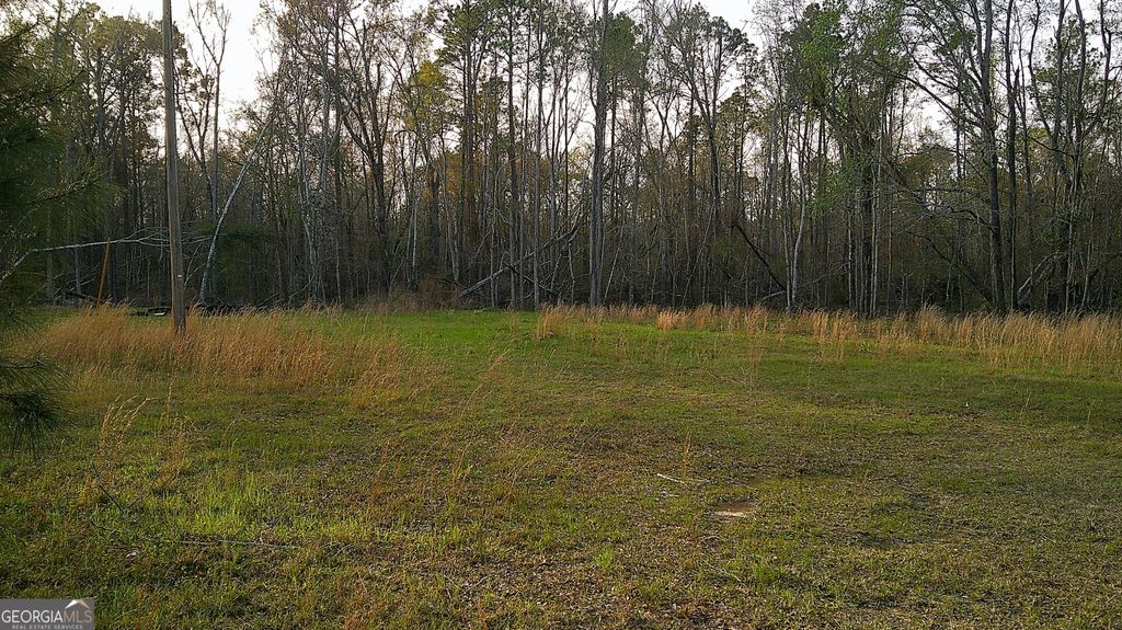 Photo of 2837 Highway 56, Midville, GA 30441 (MLS # 10715366)