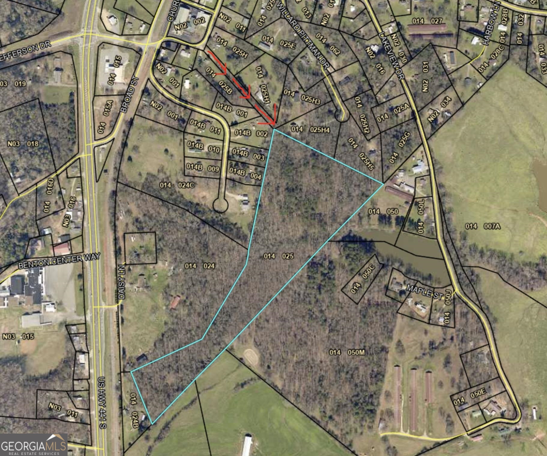 This is a hard to find tract with 17+ acres. It is in a convenient location in Nicholson GA. It is a clean slate, ready for your plans! It has an easement to the property and cannot be subdivided.