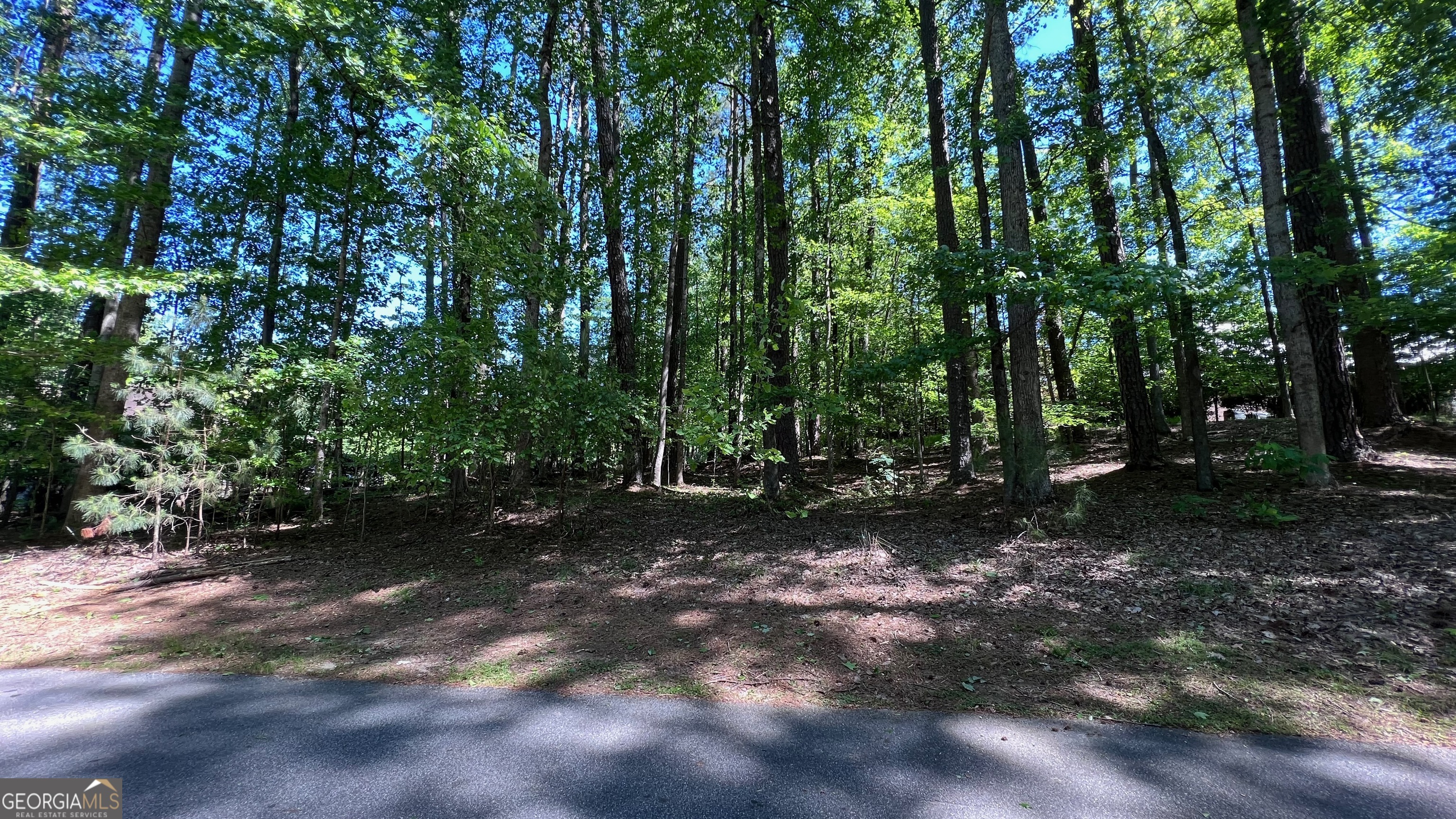 The Retreat at Kennesaw Mtn - Land