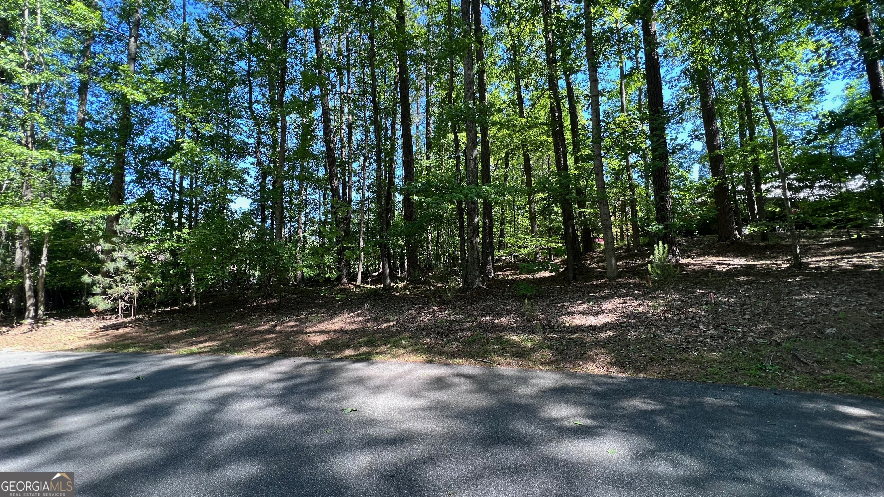 The Retreat at Kennesaw Mtn - Land