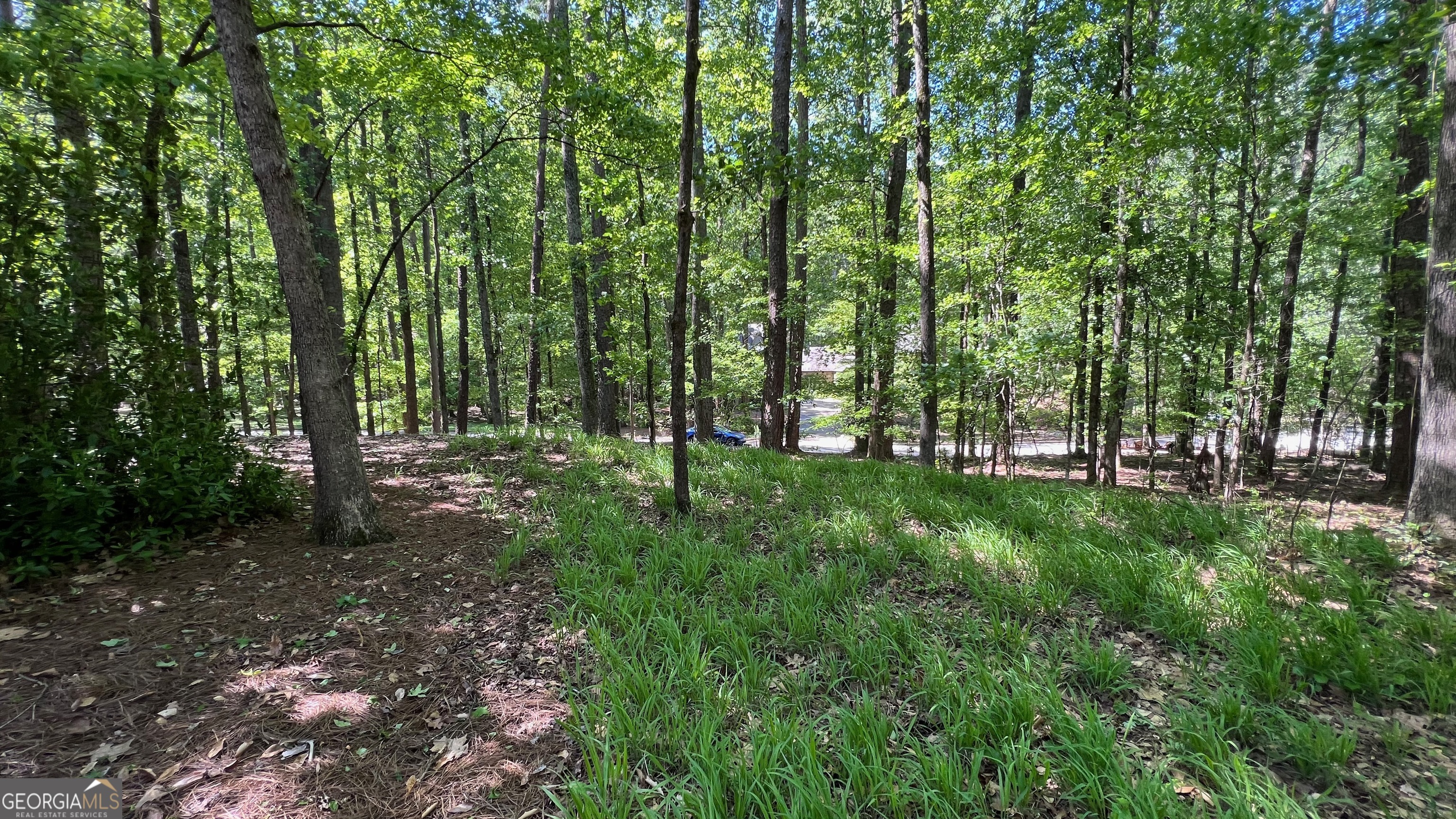 The Retreat at Kennesaw Mtn - Land