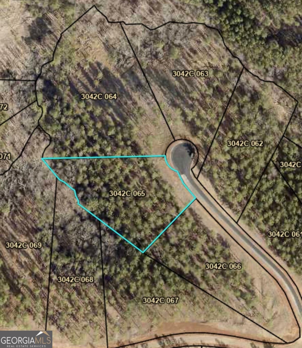 Photo of 0 Lacey Springs Lane #65, Ellijay, GA 30540 (MLS # 10869509)