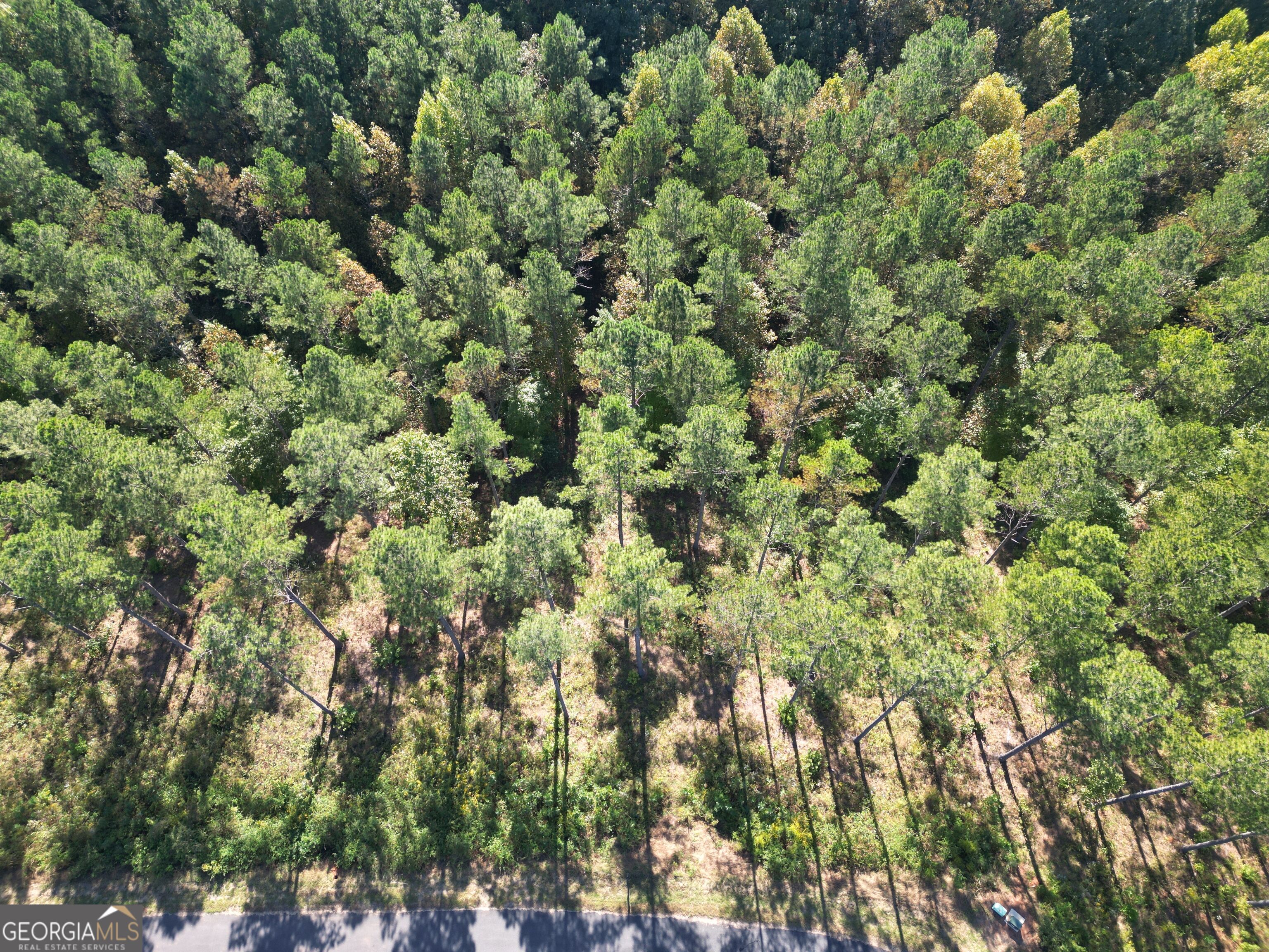 0 Lacey Springs LN 65