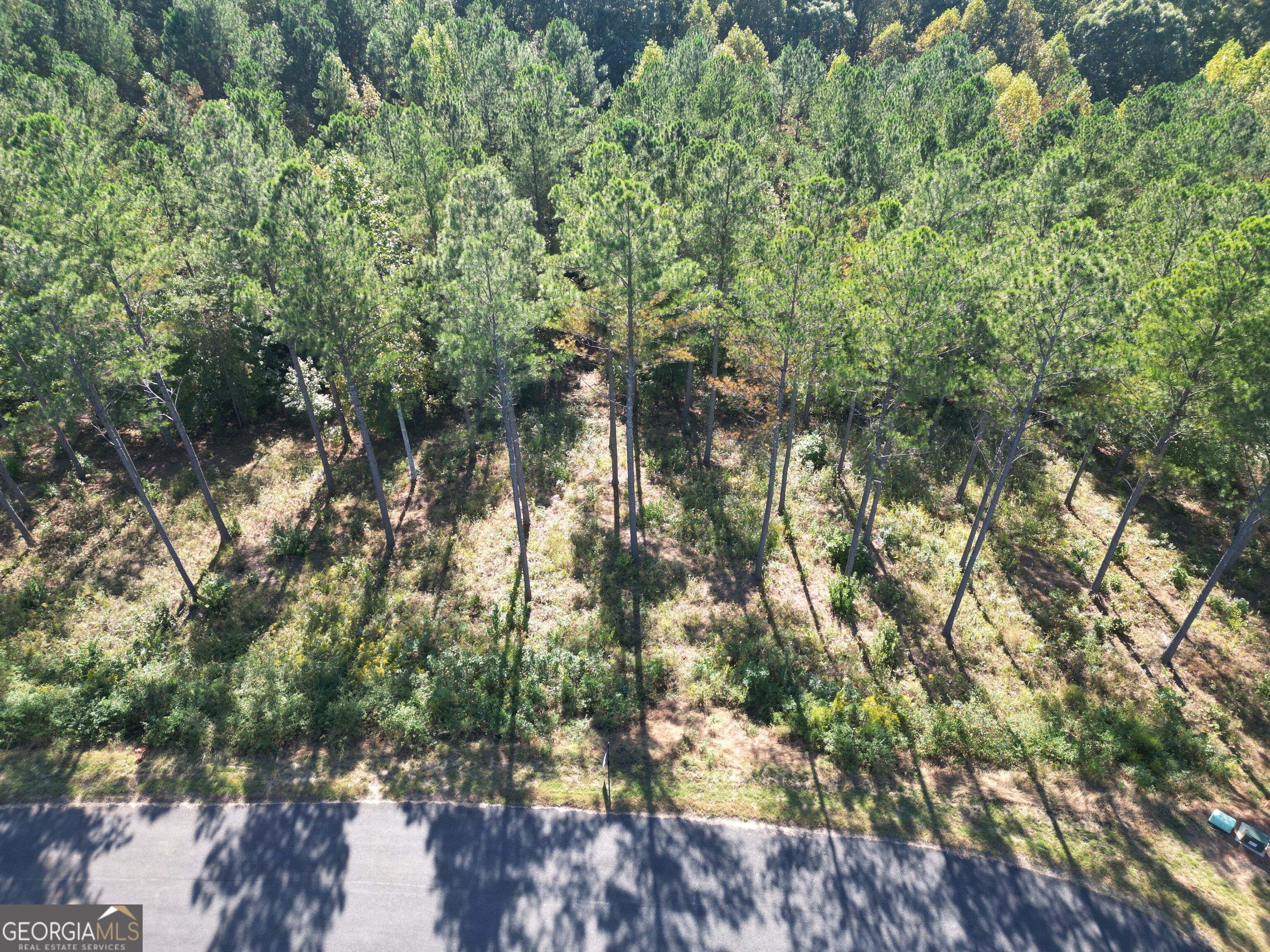 0 Lacey Springs LN 65