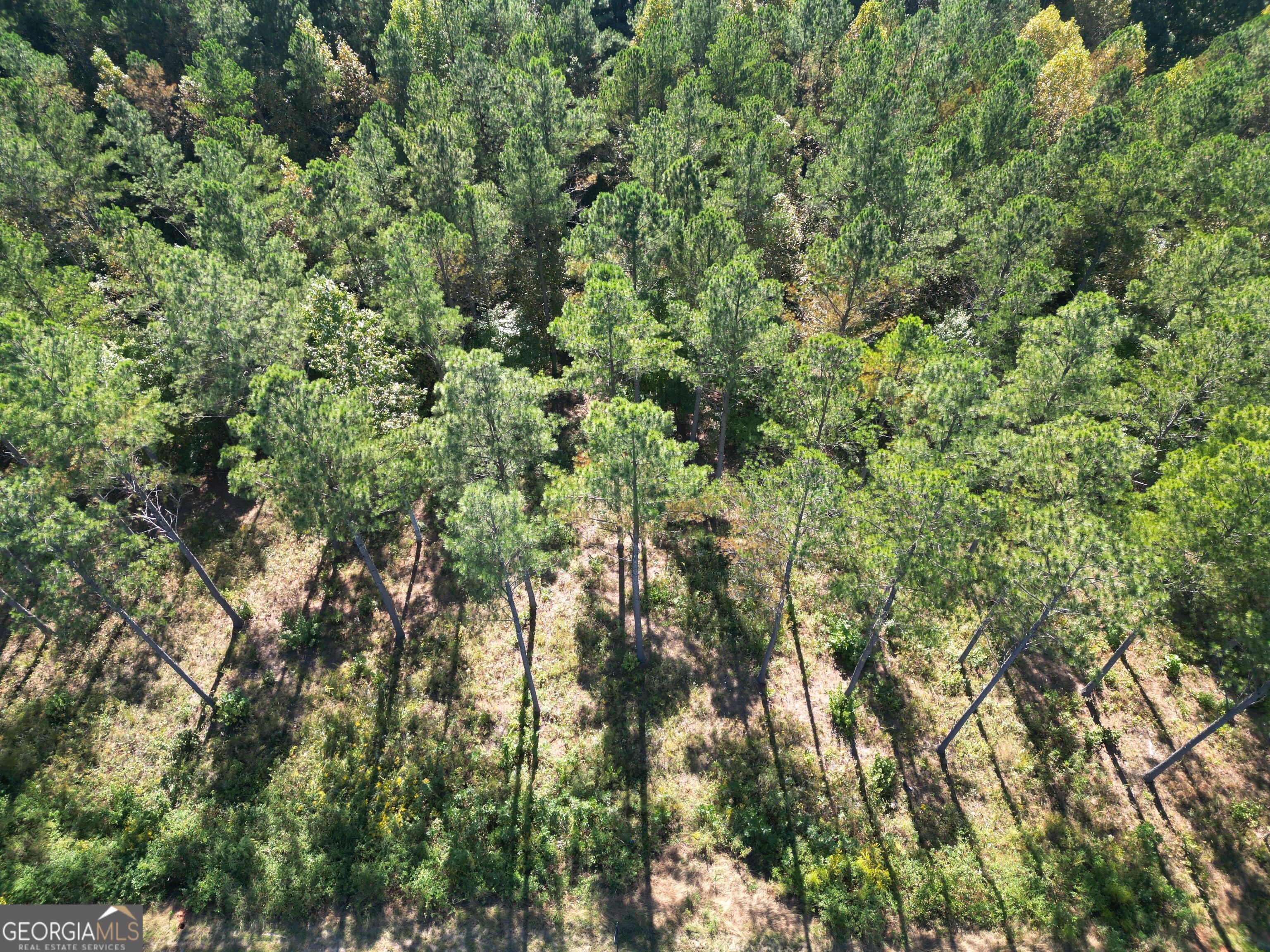 0 Lacey Springs LN 65
