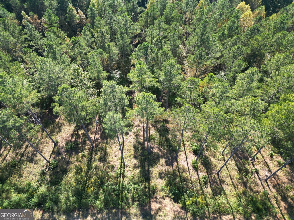 Photo of 0 Lacey Springs Lane #65, Ellijay, GA 30540 (MLS # 10869509)