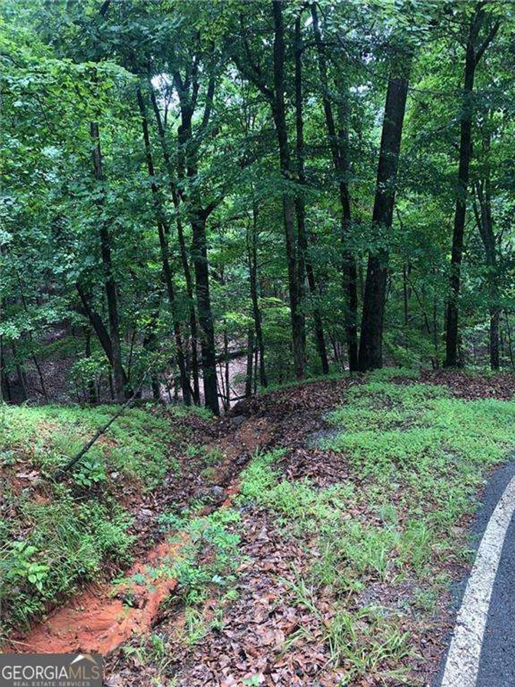 Photo of 6055 Crested Iris Circle, Jasper, GA 30143 (MLS # 10694286)