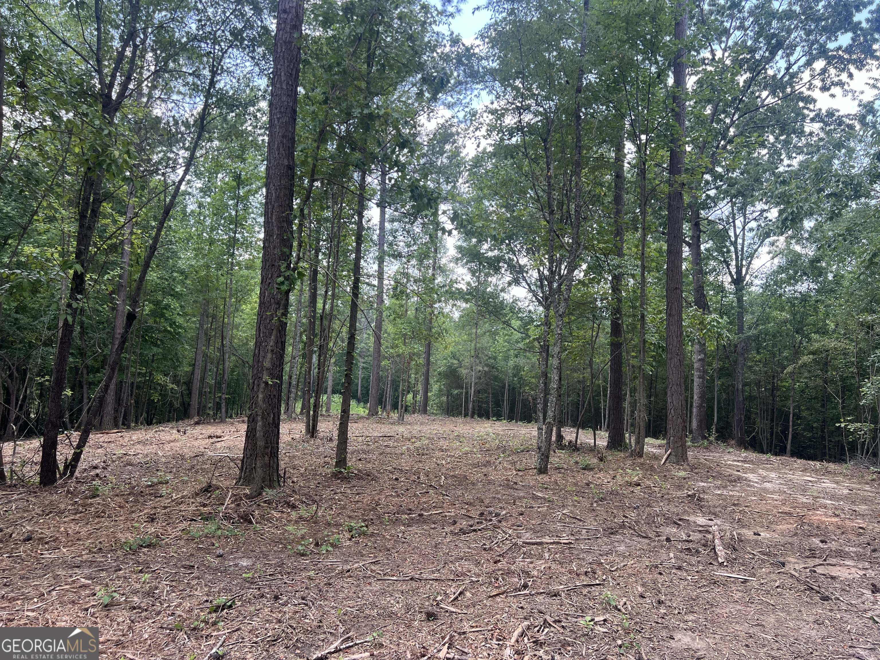 A lasting impression will follow you once you see this beautiful estate lot! This property is for the discerning buyer looking for value and privacy! We are offering here a very unique tract with a select building site and surrounding wooded property for a personal sanctuary! Located just minutes from Carrollton in the solace of Roopville, GA. On that country road you dream about but close enough to major thoroughfares that you can get to work! Paved road frontage, major utilities, high speed internet! Conveyed with a deed restriction prohibiting mobile homes.