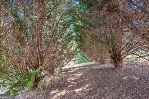 listing image 62