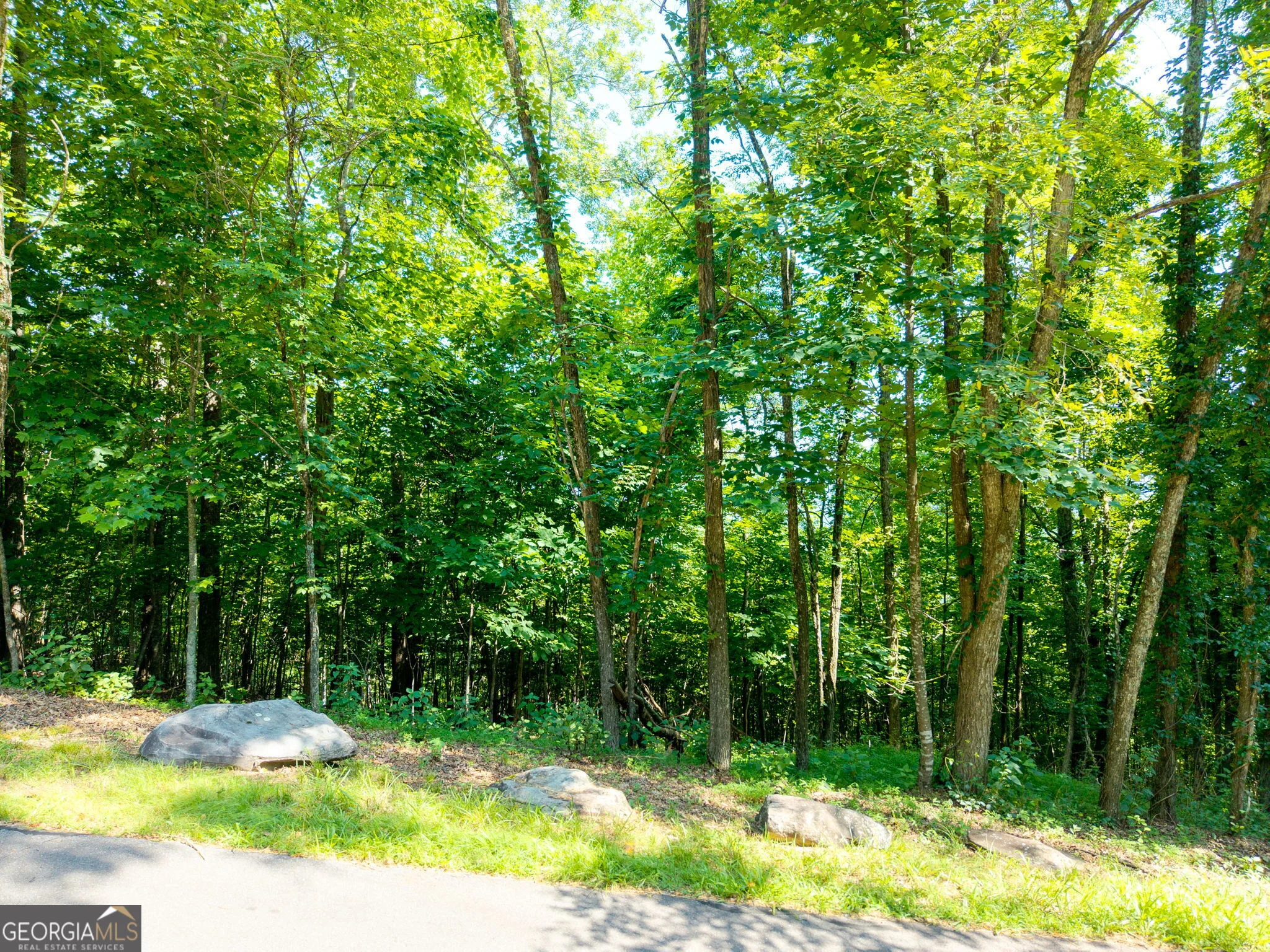 46 Buck Ridge