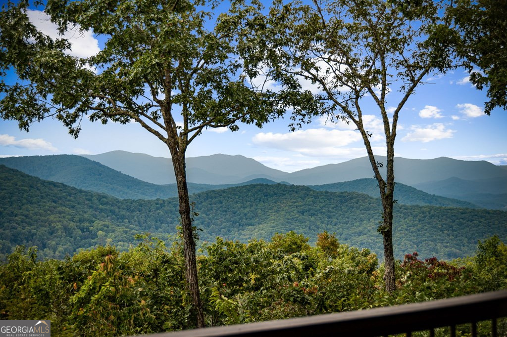 260 Huckleberry HOLW