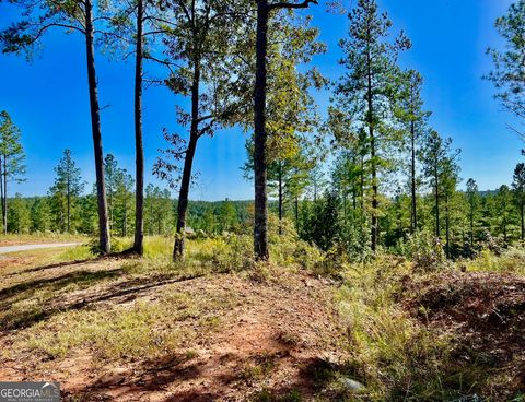 Photo of 82 Barrell Knot Court, Talking Rock, GA 30175 (MLS # 10395544)