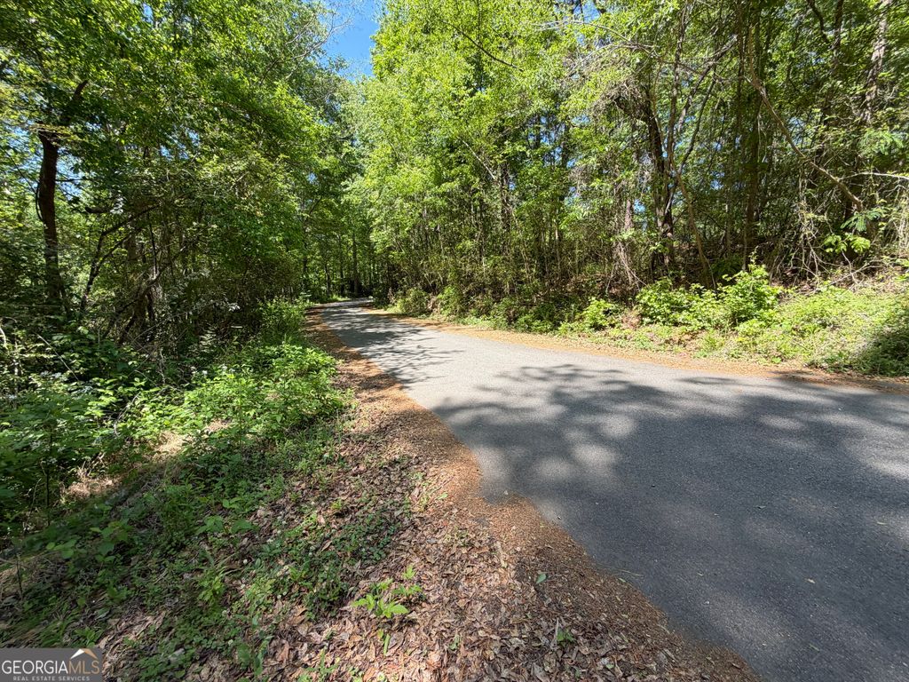 Photo of 1574 Wallace Gray Road, Newnan, GA 30263 (MLS # 10758168)
