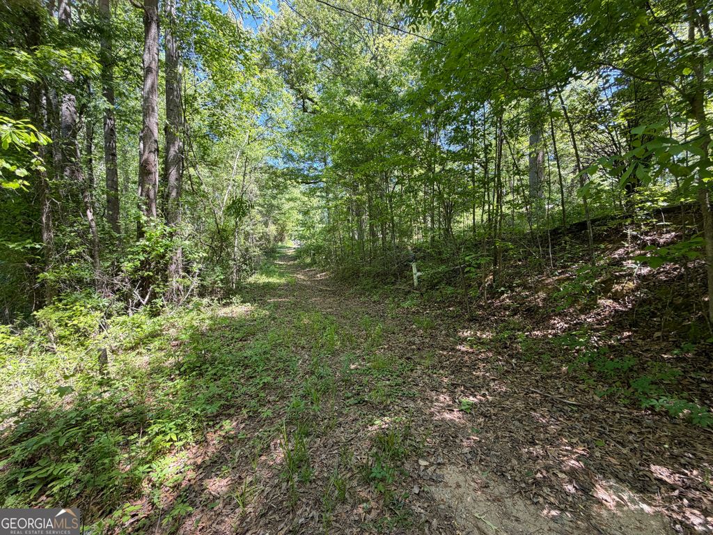 Photo of 1574 Wallace Gray Road, Newnan, GA 30263 (MLS # 10758168)