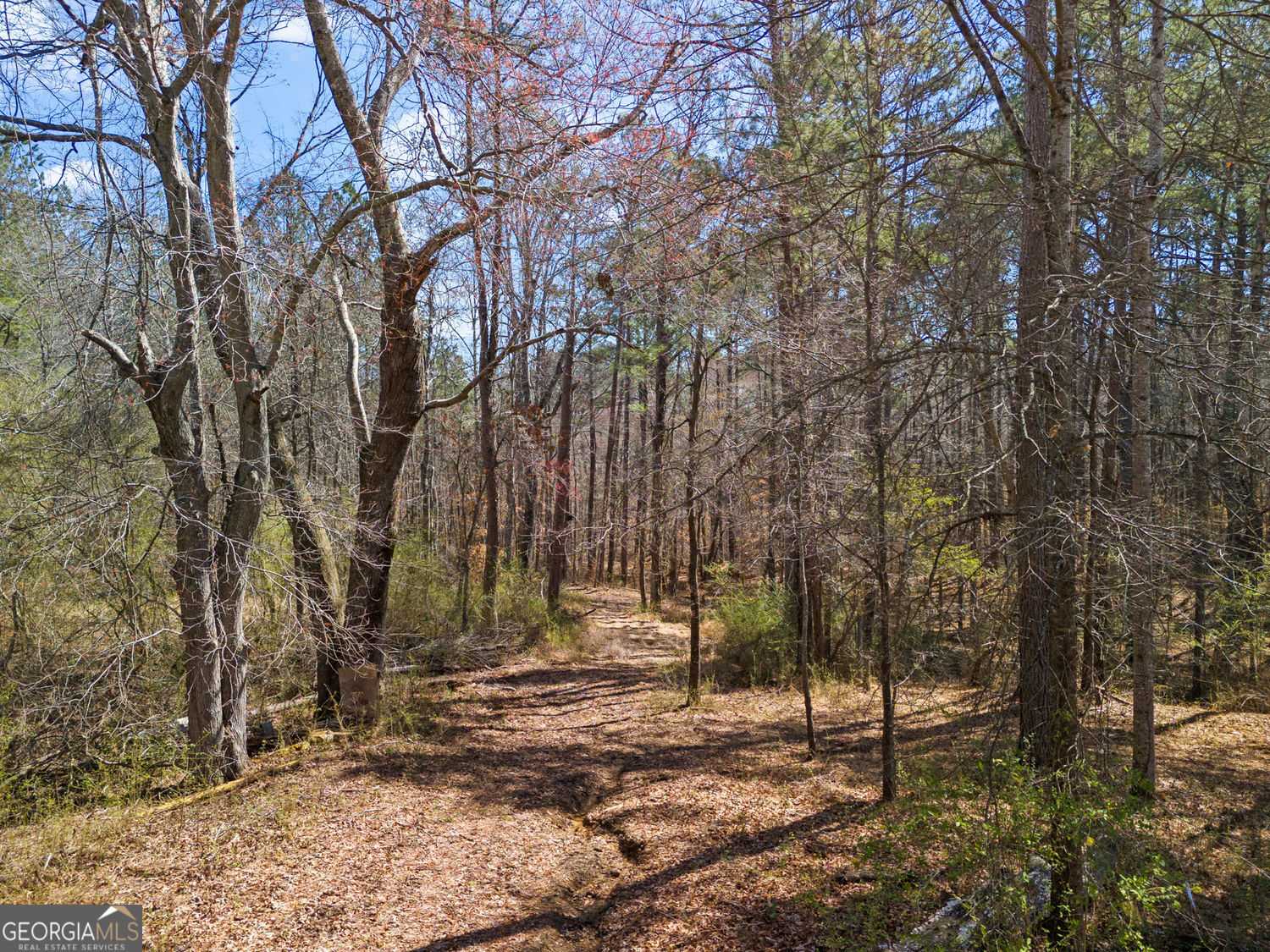 Dallas, Georgia 30157, United States, 4 Bedrooms Bedrooms, ,4 BathroomsBathrooms,Residential,Active,88669