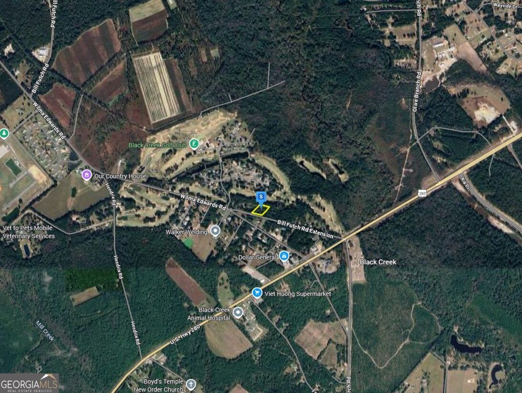 Photo of 400 Bill Futch Ext Road, Ellabell, GA 31308 (MLS # 10724643)