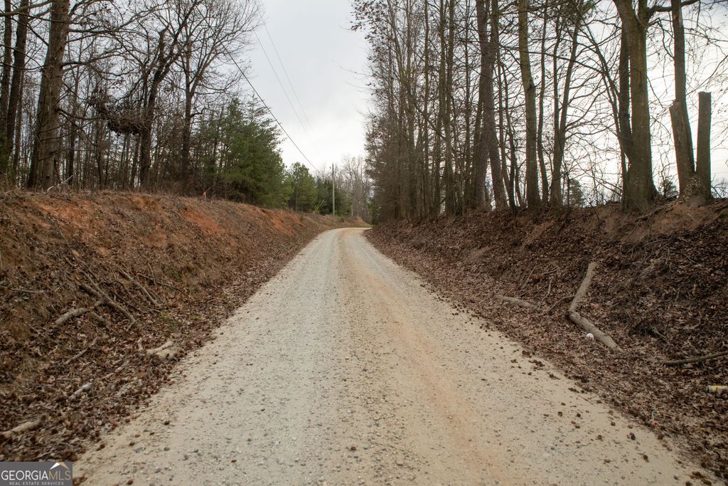 Photo of 0 Kesler, Carnesville, GA 30521 (MLS # 10664561)