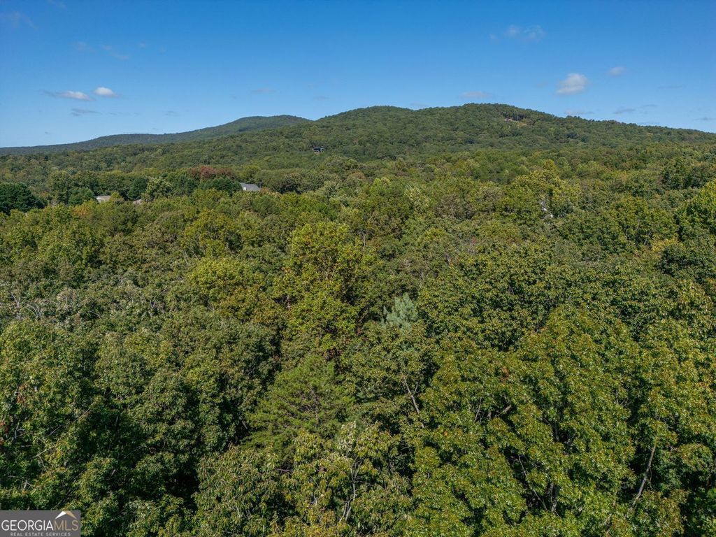 Photo of 0 Plum Lane, Clarkesville, GA 30523 (MLS # 10727044)