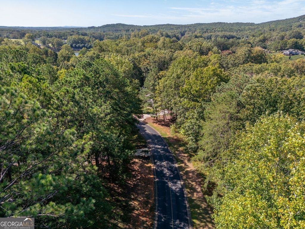 Photo of 0 Plum Lane, Clarkesville, GA 30523 (MLS # 10727044)