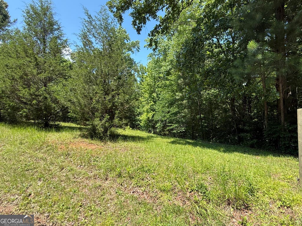 Photo of 0 River Run Drive, Hogansville, GA 30230 (MLS # 10783974)