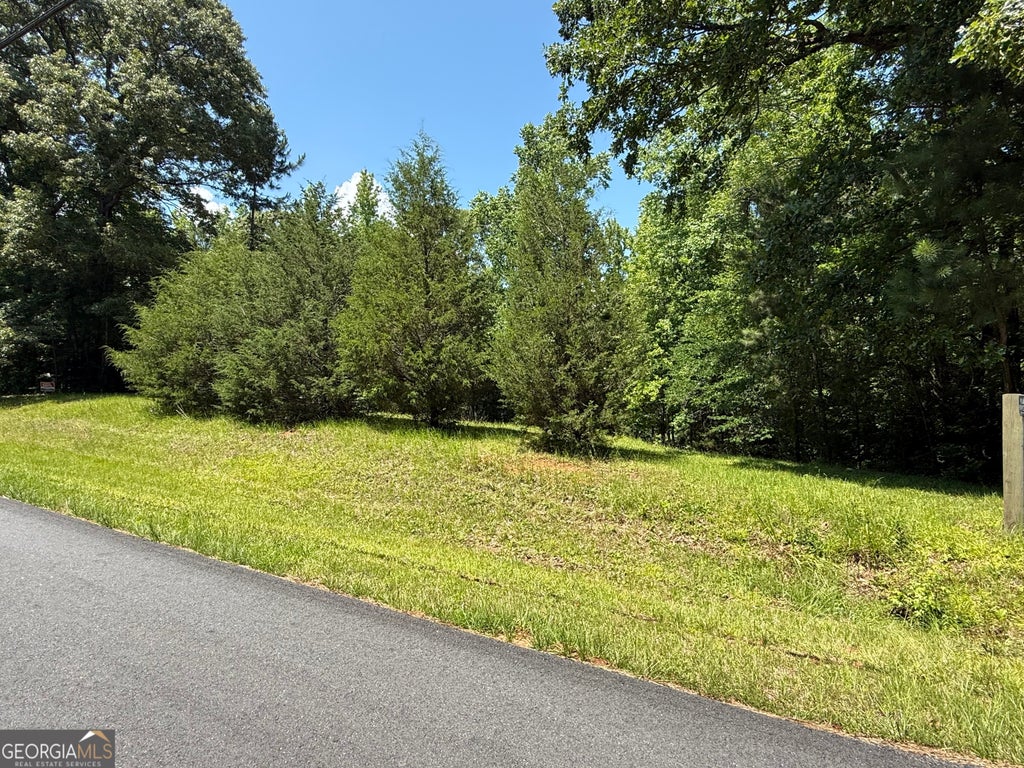Photo of 0 River Run Drive, Hogansville, GA 30230 (MLS # 10783974)