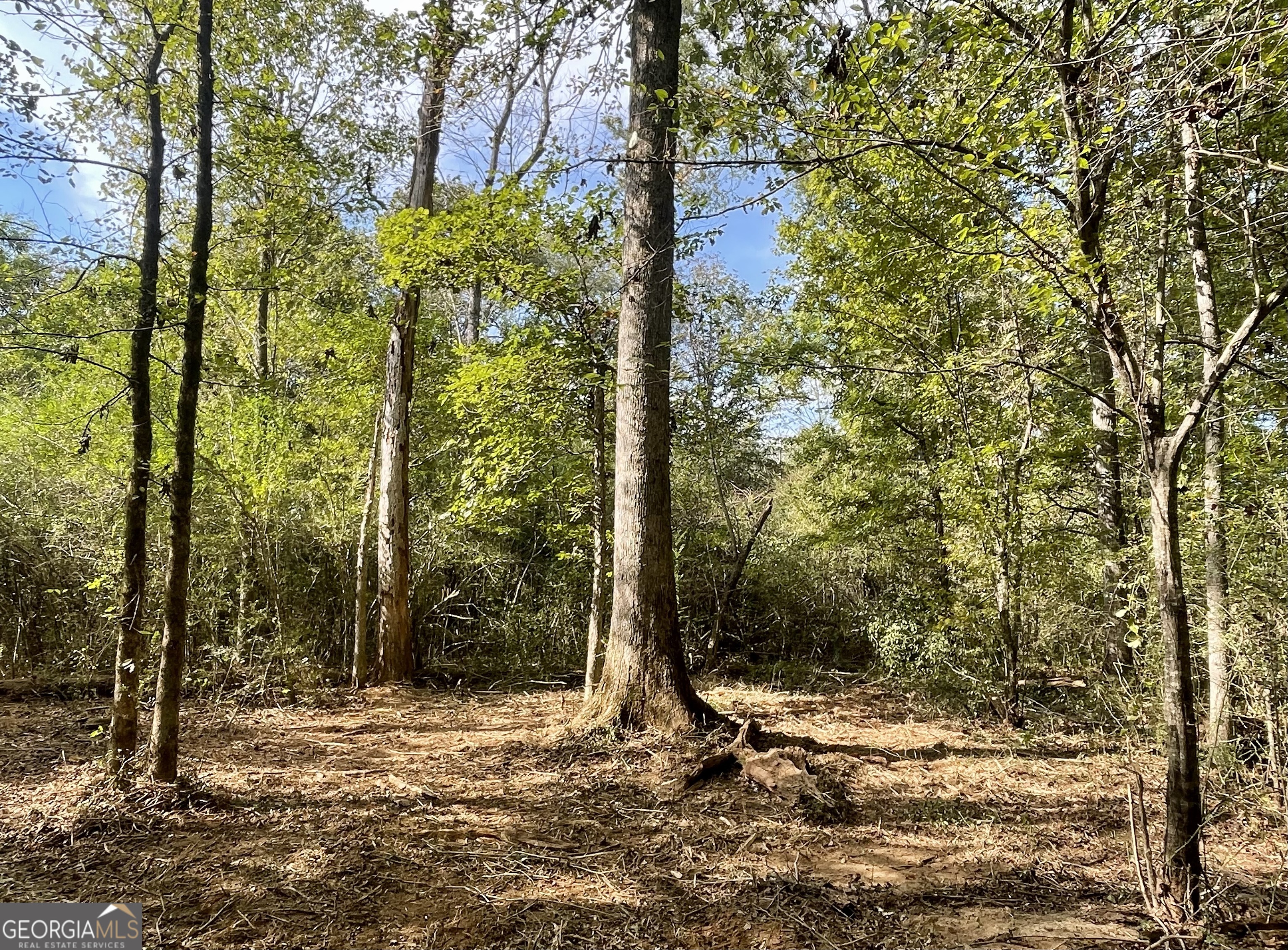 0 Buffalo Creek Road