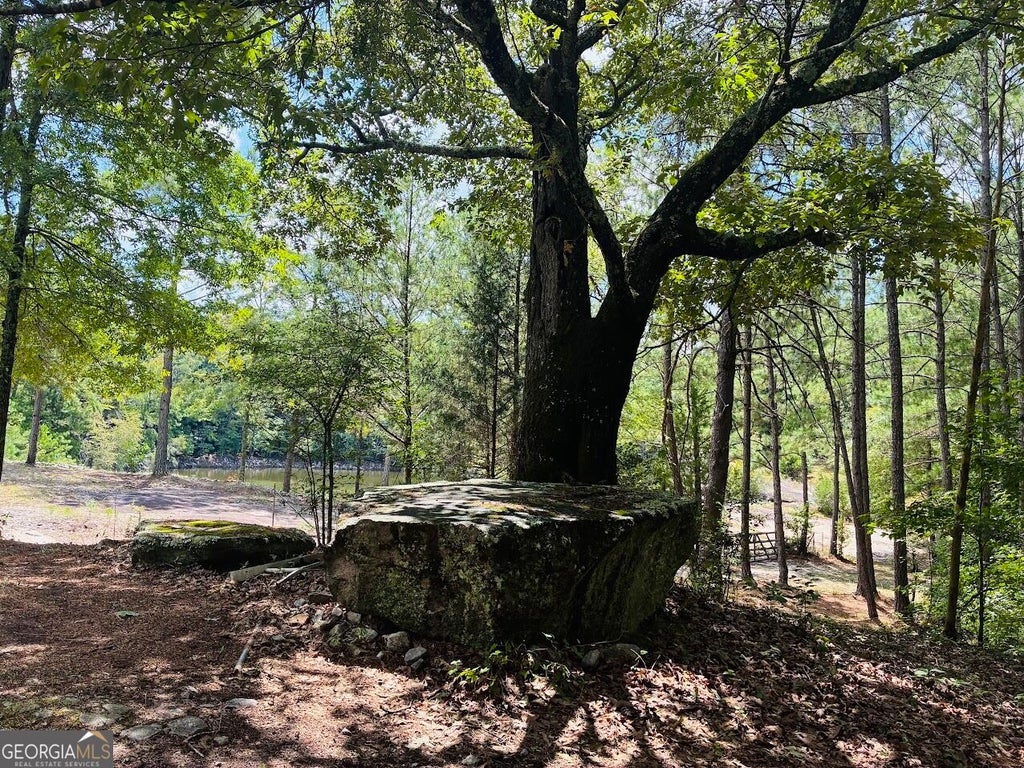 Photo of 3889 Greenville Rd, LaGrange, GA 30241 (MLS # 10826819)