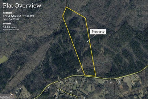 Photo of 0 Mt. Sinai #LOT 4, Lula, GA 30554 (MLS # 10796623)