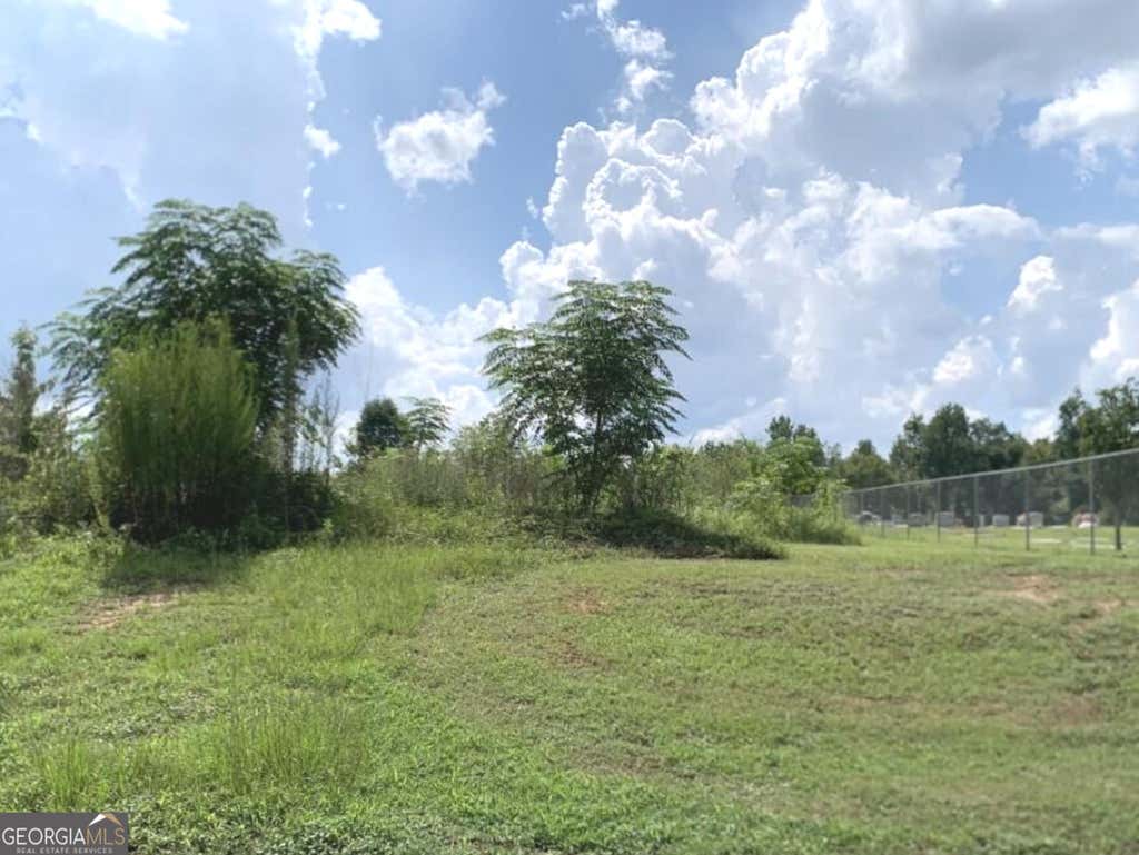 Photo of 0 Murphy Street, Midville, GA 30441 (MLS # 10808562)