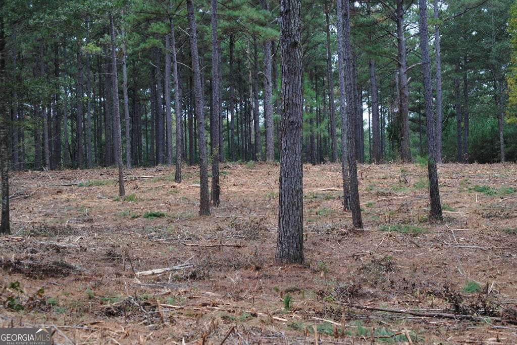 Photo of 137 W Drummond #6, West Point, GA 31833 (MLS # 10870895)