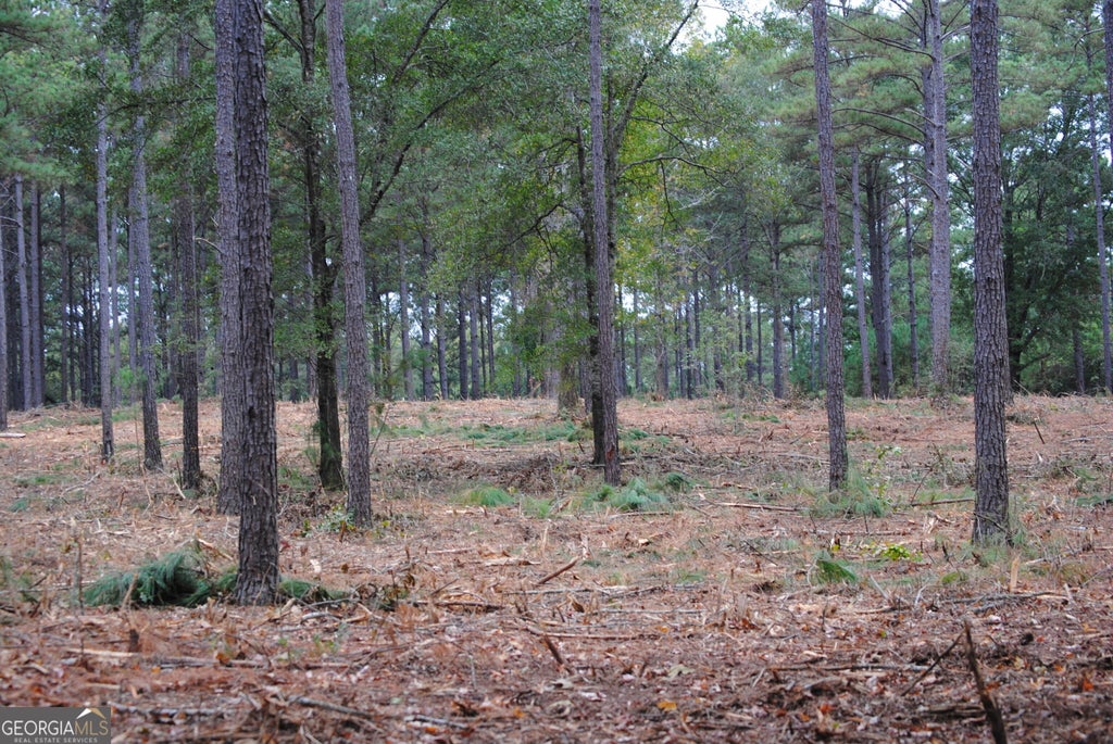 Photo of 137 W Drummond #6, West Point, GA 31833 (MLS # 10870895)