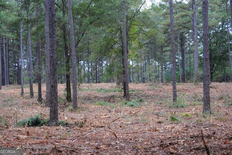 Photo of 137 W Drummond #6, West Point, GA 31833 (MLS # 10870895)